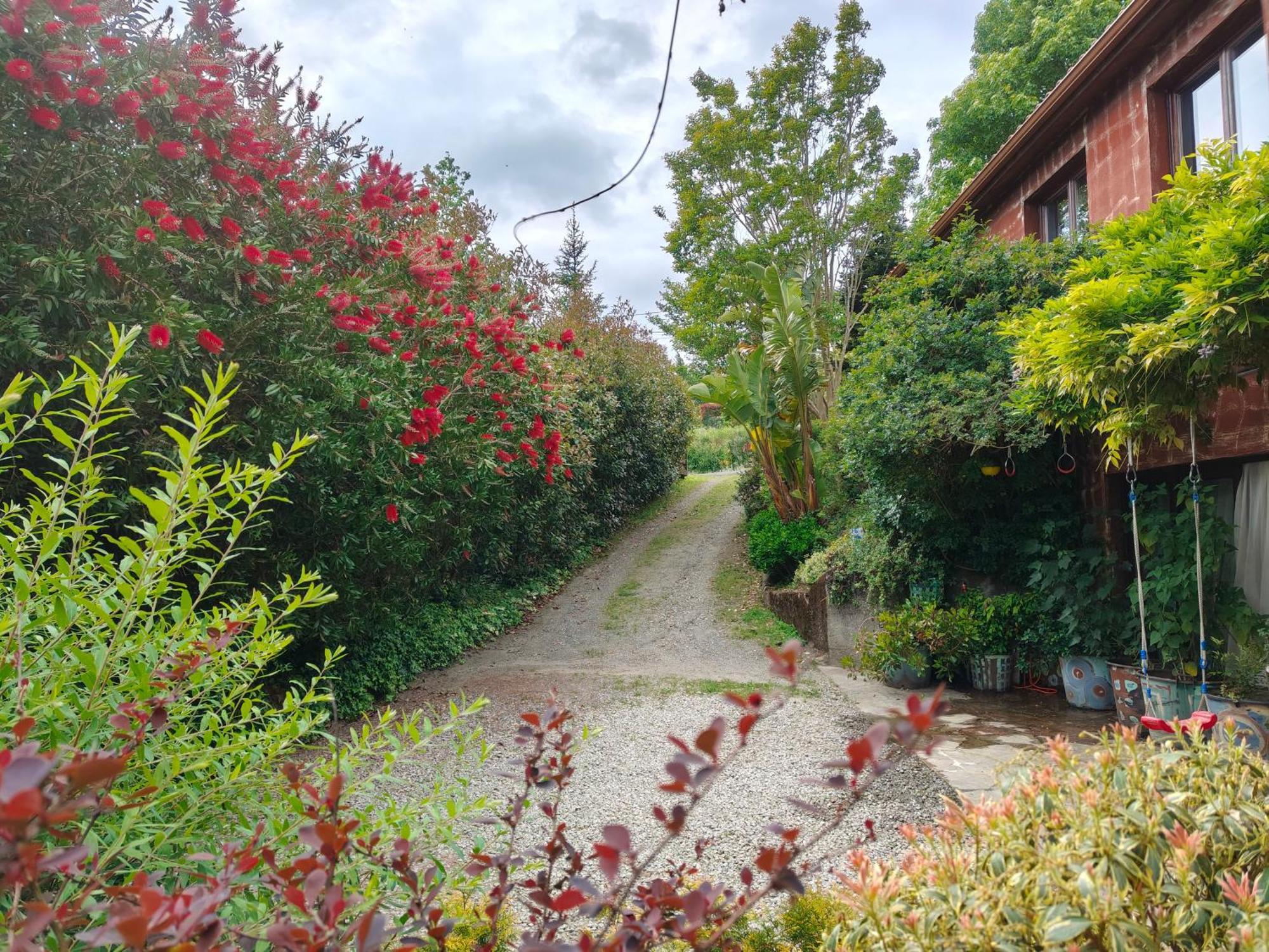 Apartamentos Rosa Jove กาบาญาส ภายนอก รูปภาพ